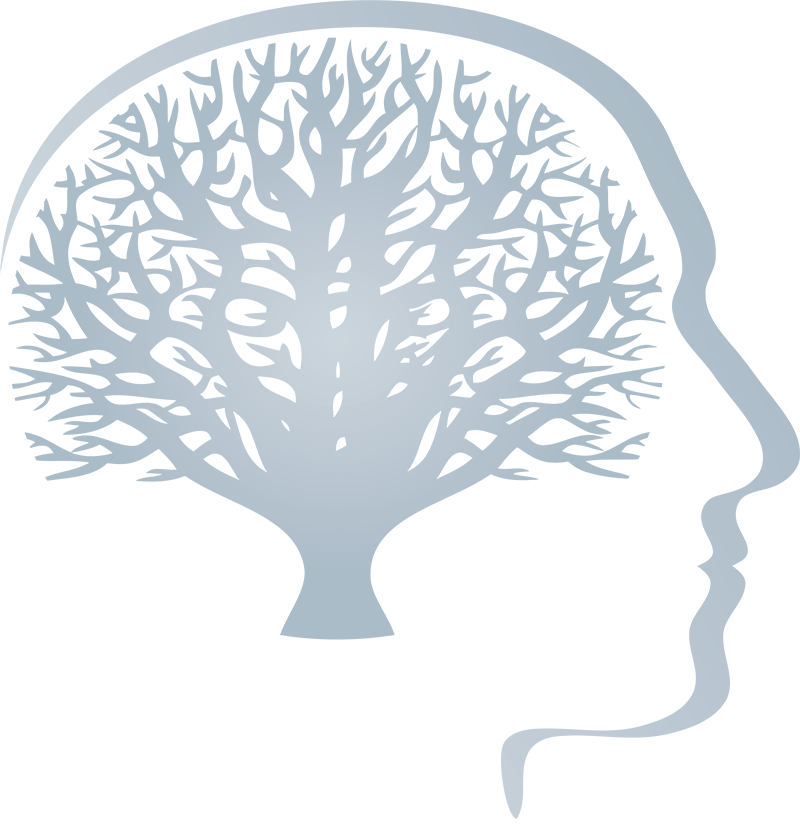 brain-4